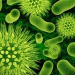 تحذير علمي: بكتيريا “قاتلة” تغزو دول الخليج