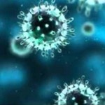 صحة أبوظبي تعلن تخلص 8 حالات جديدة من فيروس كورونا