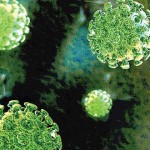 هيئة الصحة أبوظبي: 12 حالة جديدة لفيروس كورونا