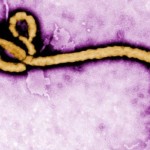الصحة العالمية: الشرق الاوسط خالٍ من “ايبولا”