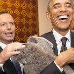 الكوالا الأسترالي يدخل عالم الدبلوماسية