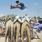 القفز فوق الجِمال … لعبة القوة وتحدي الطبيعة في اليمن