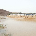 تغيرات مناخية تعيشها السعودية.. و230 سدا أمام اختبار «الأمطار»