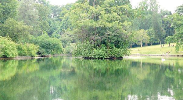 سنغافورة تسعى إلى إدراج حدائقها النباتية ضمن قائمة التراث العالمي