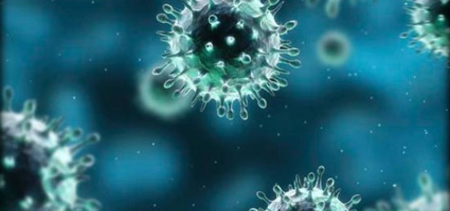 هيئة الصحة في أبوظبي تعلن حالتين لفيروس “كورونا”