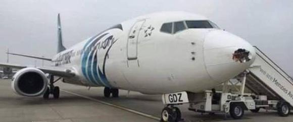«طائر مهاجر» يثقب طائرة مصرية في لندن