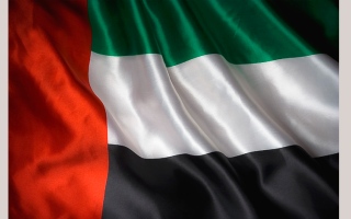 الإمارات ترحب بالجهود الدولية لوضع استراتيجية للتصدي للإرهاب