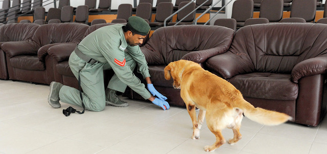 شرطة دبي تروّض الكلاب البوليسية على استخدام التكنولوجيا