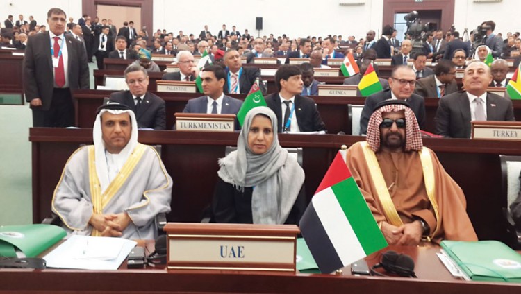الإمارات: الثقافة والفكر والإعلام أساس مواجهة الإرهاب