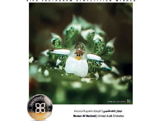 جائزة حمدان بن محمد تعلن فائزي «التصوير تحت الماء»