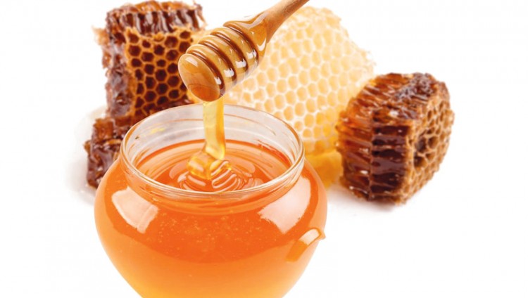 بدء تطبيق النظام الإماراتي للرقابة على عسل النحل