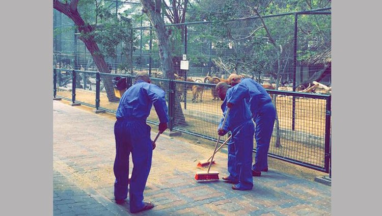 الموقوفون بـ «نهش القطة» ينظفون حديقة الحيوان 4 ساعات يومياً 3 أشهر