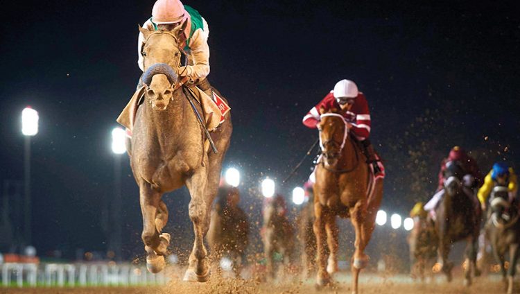 أسرع خيول العالم تتسابق على 30 مليون دولار في دبي اليوم