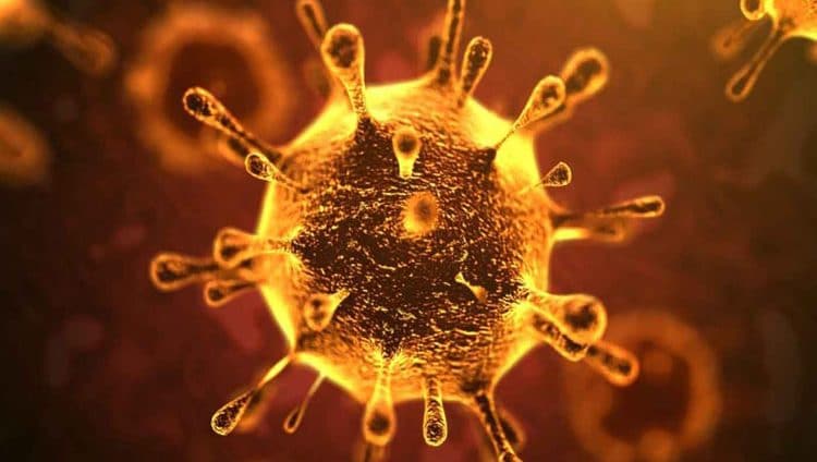 اليابان تسجل أول حالة وفاة بفيروس كورونا الجديد