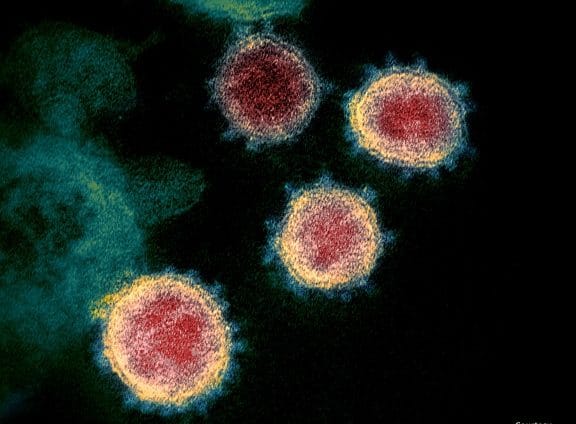 لغز تزايد الإصابات بفيروس كورونا يحير العلماء