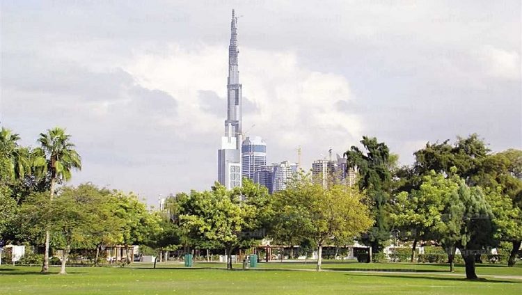 43 مليون مترا مربعا إجمالي المسطحات الخضراء في دبي