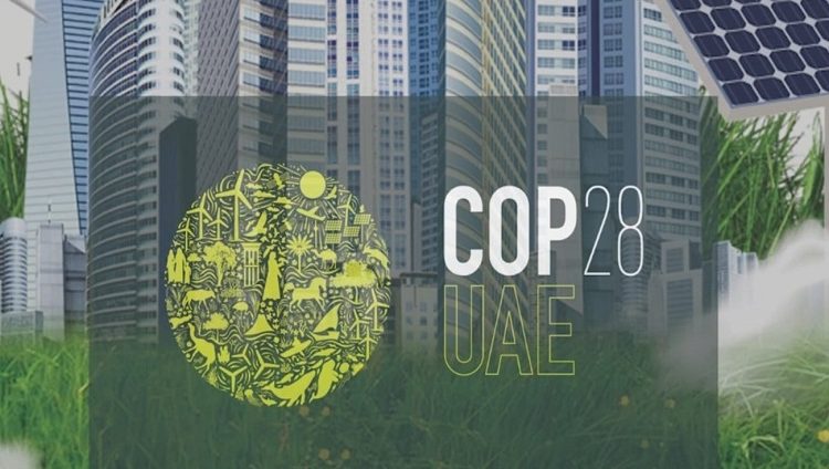وزيرة التعاون الدولي المصرية: كوب 28 الأهم على مستوى العالم لمناقشة تغير المناخ