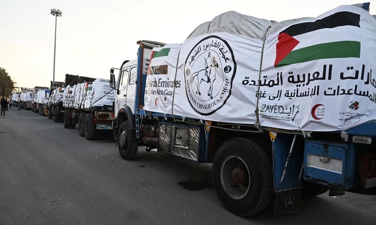 «الفارس الشهم 3» تغيث غزة بـ 15863 طن احتياجات طبية وإنسانية خلال 15 أسبوعاً