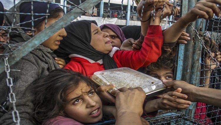 34 حالة وفاة نتيجة سوء التغذية والجفاف في غزة