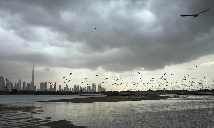 الإمارات.. منخفض جوي مصحوباً بسقوط أمطار من اليوم إلى الأربعاء