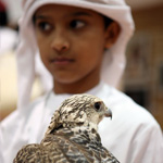 صقور تستعرض مهاراتها في افتتاح «أبوظبي 2012»