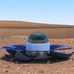زراعة السبانخ على المريخ.. ممكنة