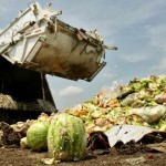 البنك الدولي: العالم يهدر 33% من الغذاء