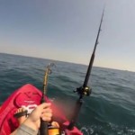فيديو: سمكة قرش تسحب قارب صياد مغامر لأميال قبالة فلوريدا