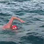 بالفيديو: دلافين تنقذ سباحاً بريطانياً من هجوم سمكة قرش