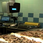 افتتاح أكبر سوق أسماك بدون روائح في أبوظبي
