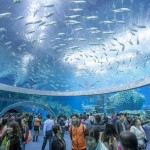 الصين تفتتح أكبر متحف مائي في العالم