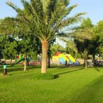 بلدية أبوظبي تنشئ ملاعب للأطفال و8 حدائق عامة في بني ياس