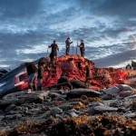 السماح لسكان الاسكيمو بصيد عدد معين من الحيتان سنويا