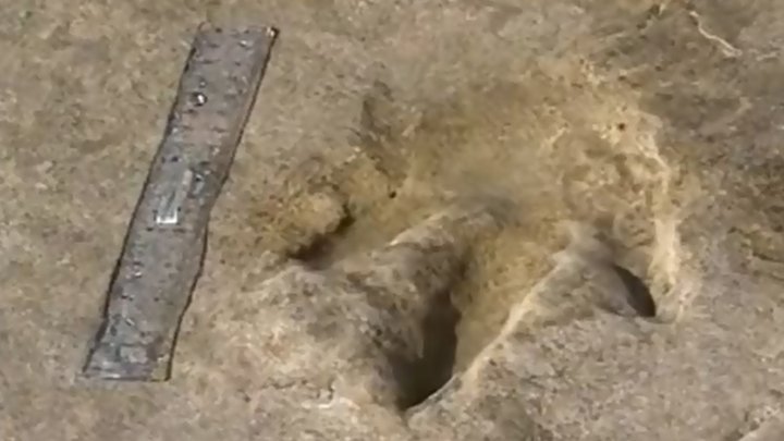 كندا: العثور على آثار أقدام بشرية تعود إلى 13 ألف عام