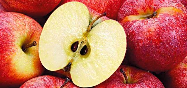 بلدية دبي: بذور التفاح ضارة حال تناول كميات كبيرة منها