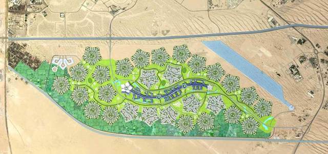 بلدية دبي: «زهرة الصحراء» توفر 40% من الكهرباء و40 ألف متر مكعب من المياه الصالحة