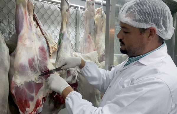 10 نصائح ضرورية للوقاية من أضرار اللحوم في عيد الأضحى