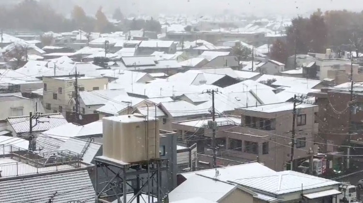 طوكيو تشهد الثلوج للمرة الأولى منذ 54 عاماً في نوفمبر