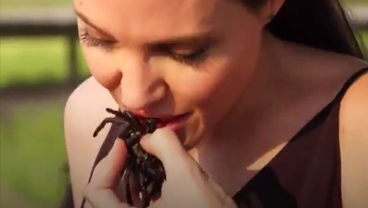 أنجلينا جولي تطبخ وتأكل الحشرات والعناكب مع أطفالها
