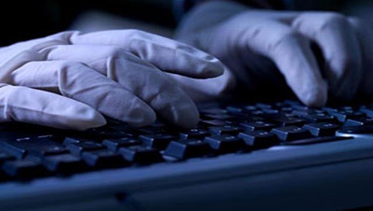الإمارات تمول خطة خمسية لمحاربة جرائم «الإنترنت»