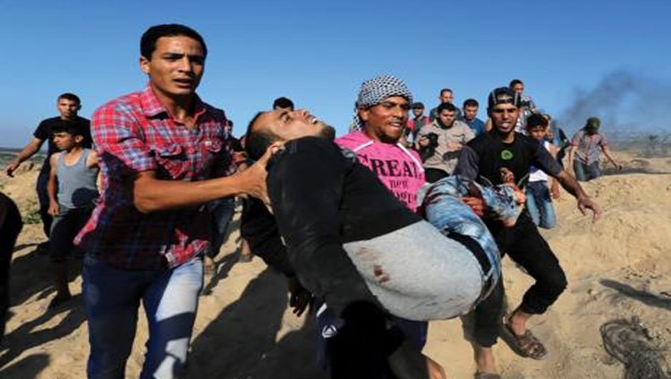 شهيدة في جنين وإصابات واعتقالات بالجملة في الضفة وغزة