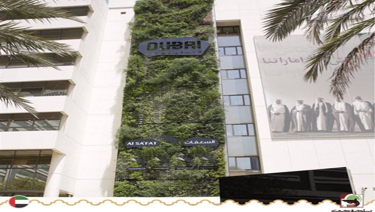 بلدية دبي: التحول من لائحة المباني الخضراء إلى نظام السعفات مطلع العام القادم
