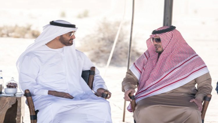 محمد بن زايد ووزير الداخلية السعودي يبحثان آخر التطورات