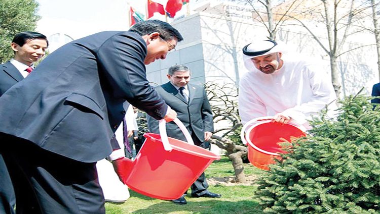 مركز زايد في بكين.. منارة ثقافية عربية