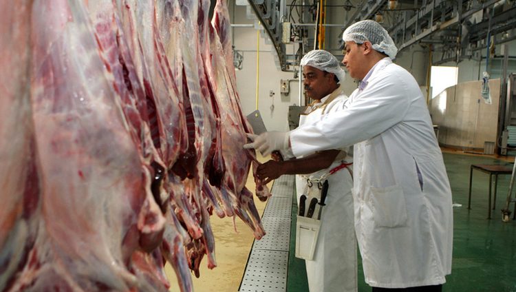 الحداد: من يذبح أضحيته خارج المقاصب المرخصة آثم.. وأضحيته صحيحة