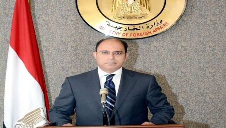 مصر تصدر بياناً بشأن احتجاز تركيا 5 بحارة