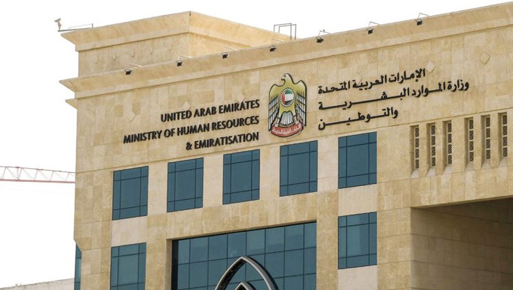 55 % من الباحثين عن عمل يفضّلون الراتب على «الوظيفة المناسبة»