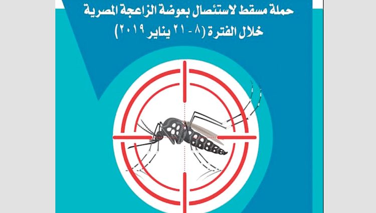 تحذير للإماراتيين في عُمان من بعوضة «الزاعجة»