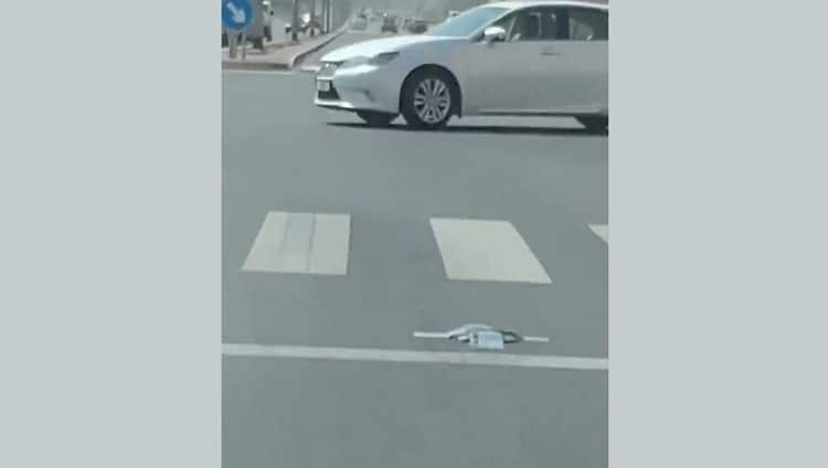 ما سر هذا الجهاز المنتشر في شوارع دبي
