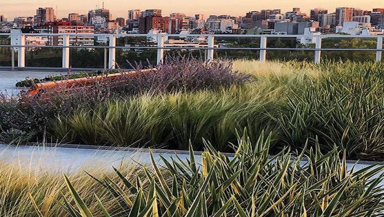 شركة لبنانية تُدخل الزراعة المائية على أبنية المدن العربية